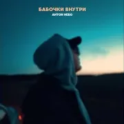 Бабочки Внутри